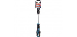 Skrutkovač torxový magnetický T25x100mm EXTOL 8819247