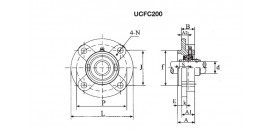 UCFC 211