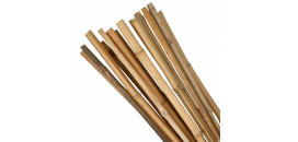 Tyč Garden 1800/16-18 mm, BAMBUS, 10ks SLOVAKIA TREND N03750