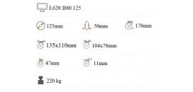 Ťažkotonážne koliesko 125x50 mm otočná kladka s brzdou L620.B80.125