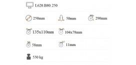 Ťažkotonážne koliesko 250x50 mm otočná kladka s brzdou L620.B80.250