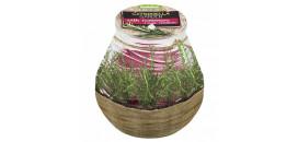 SVIEČKA CITRONELLA TERACCE ROZMARÍN 2171992