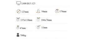 Ťažkotonážne koliesko 125X50 mm otočná kladka L600.B15.125