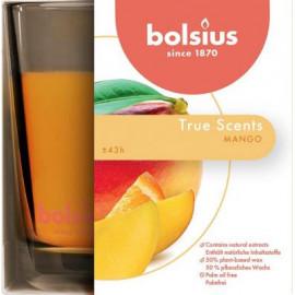 Sviečka mango